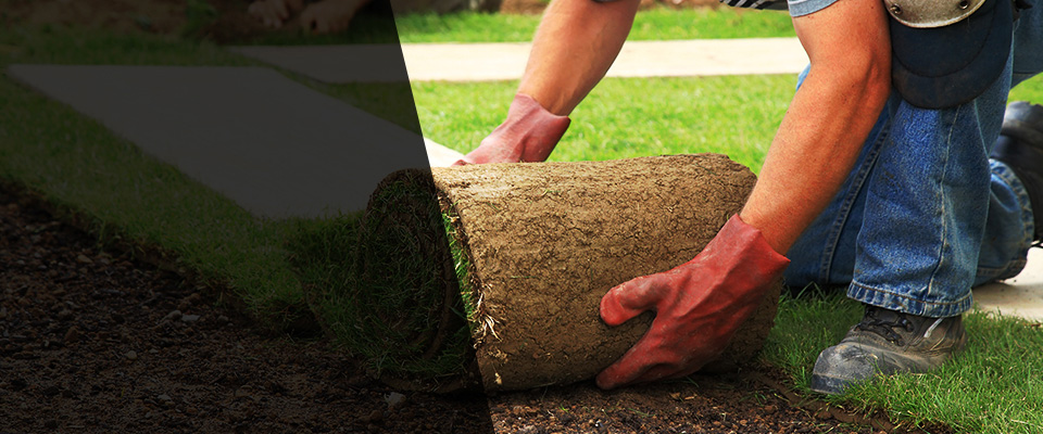 Maysville Landscapers